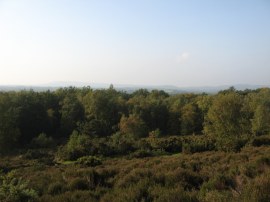 View from Hambledon Common